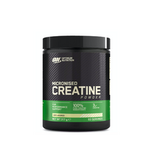 Optimum Nutrition Micronized Creatine Powder